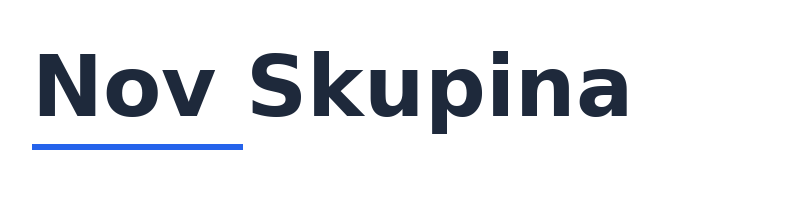 Nov Skupina logo